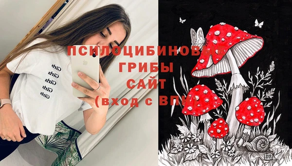 спиды Нефтегорск