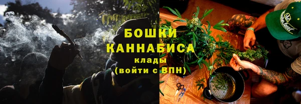 PSILOCYBIN Новозыбков